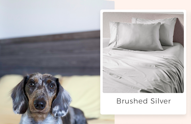 brushed-silver-sheet-set