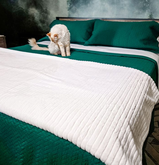 Shop Oversized Quilt Sets