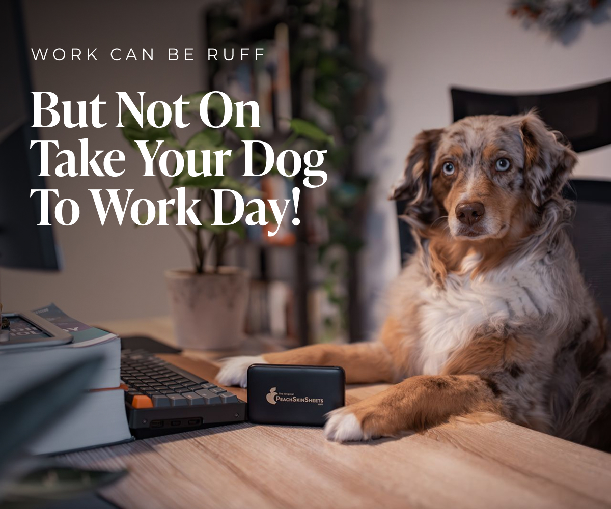 Work can be Ruff but not on Take Your Dog to Work Day! 