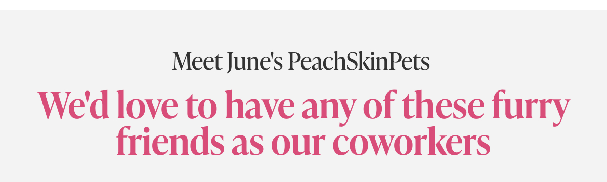 Meet June's PeachSkinPets
