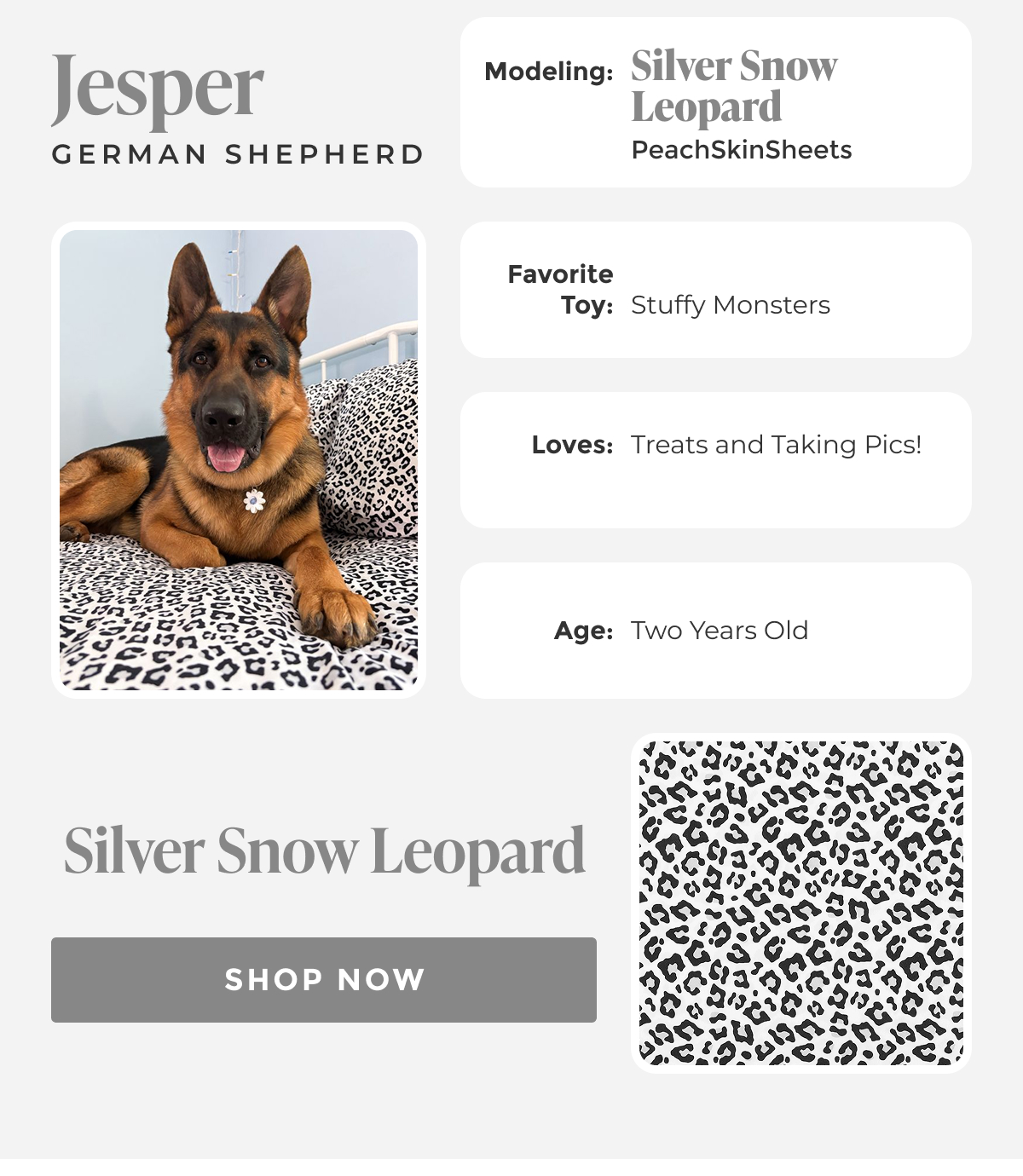 Shop Silver Snow Leopard
