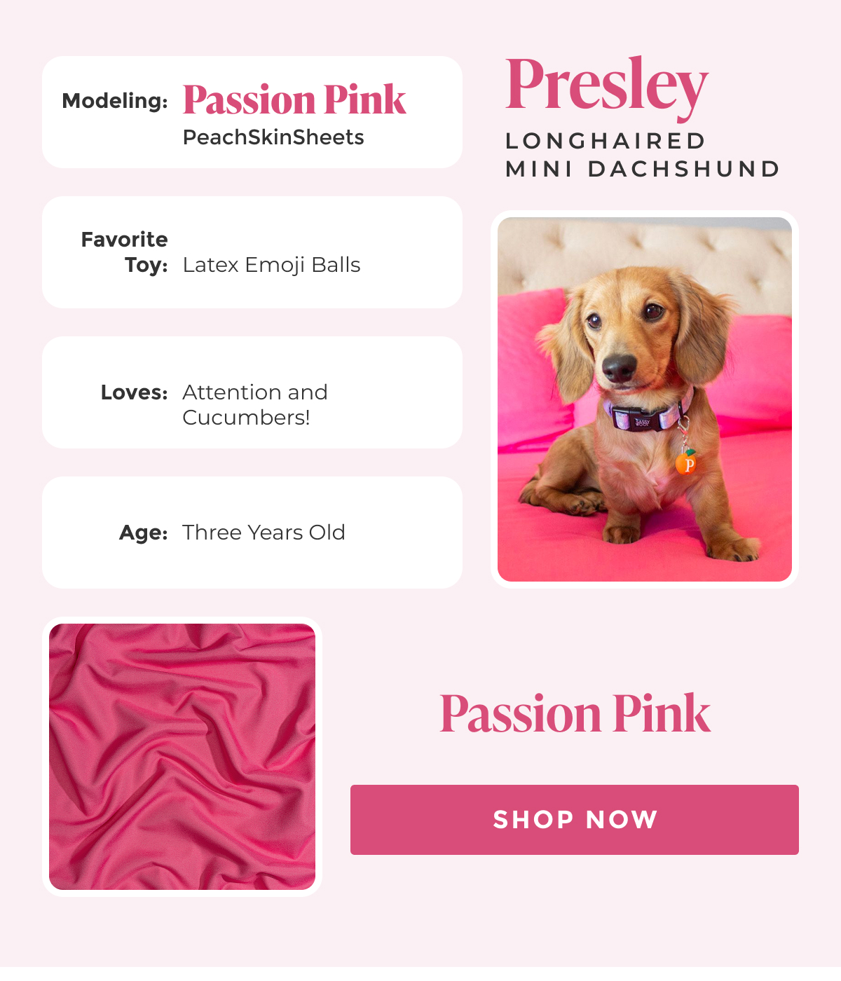 Shop Passion Pink