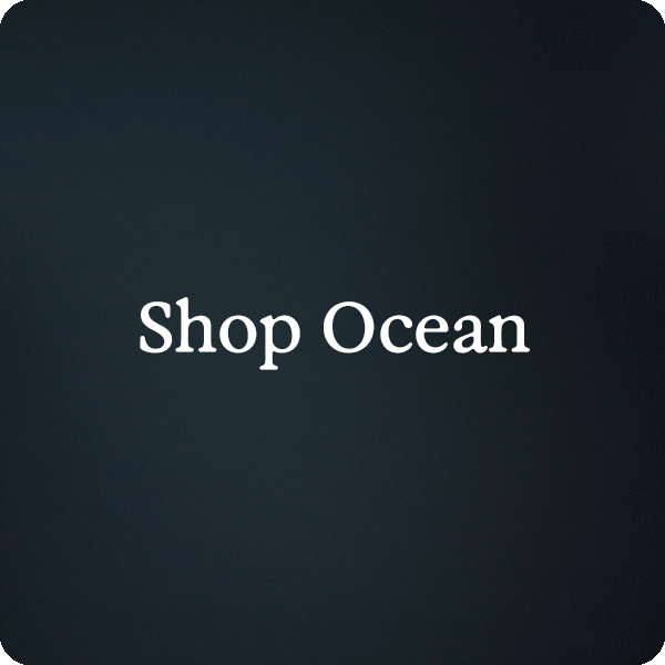 Shop Ocean
