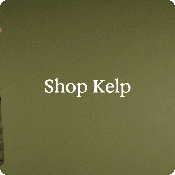 Shop Kelp