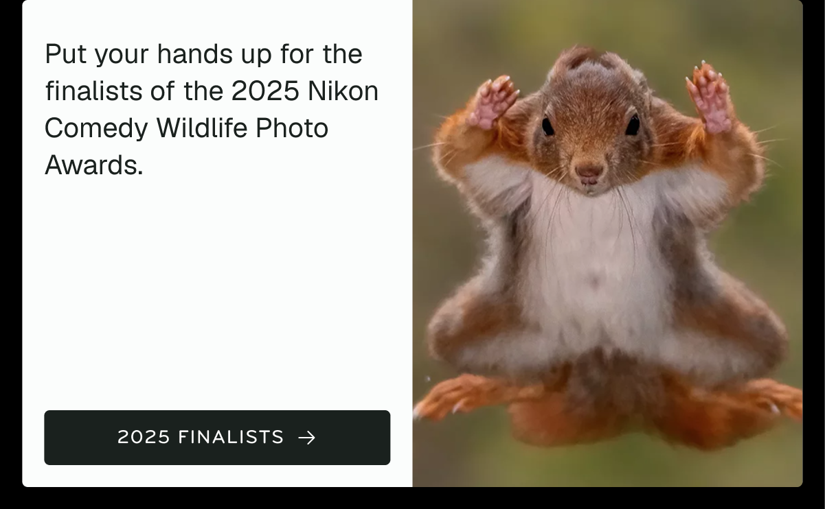 2025 Comedy Wildlife Awards