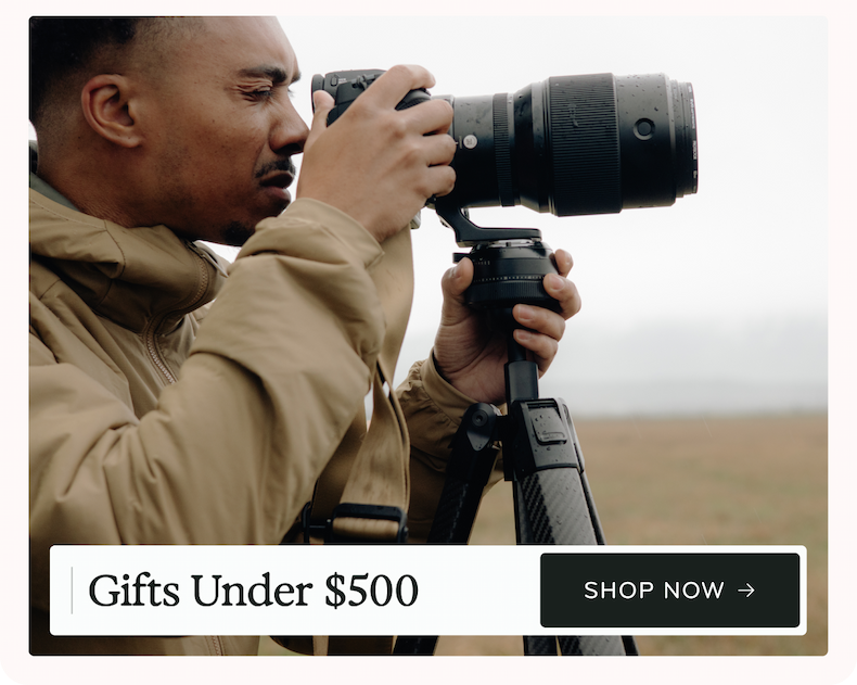 Shop Gifts Under $500