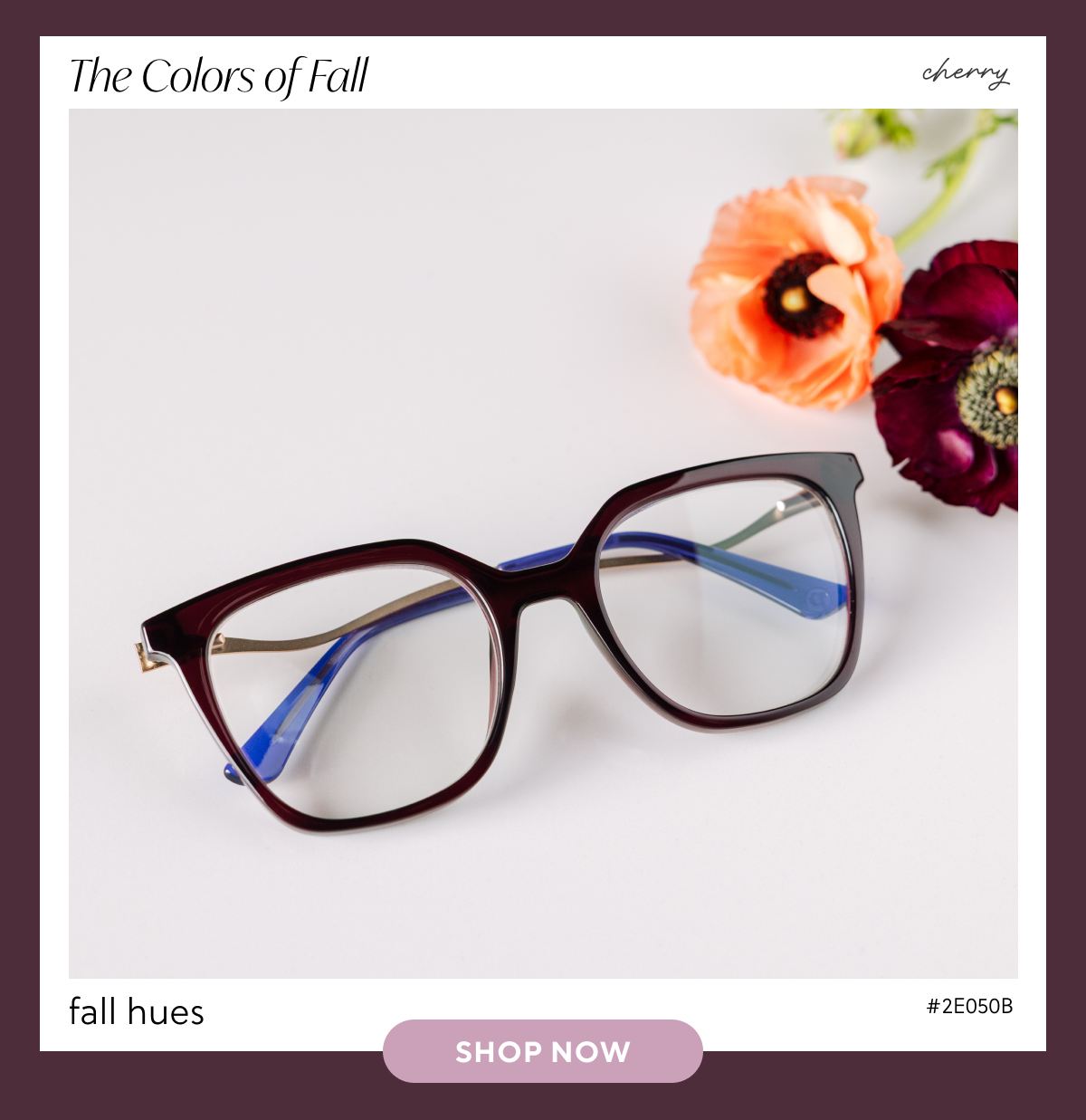 Shop Now