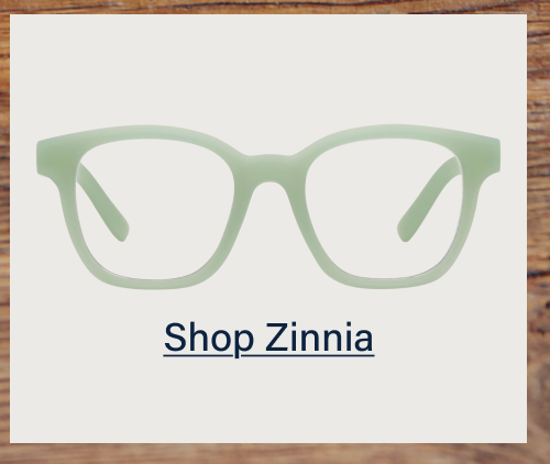 Shop Zinnia