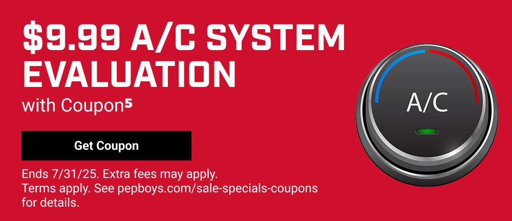 $9.99 A/C SYSTEM EVALUATION(5)