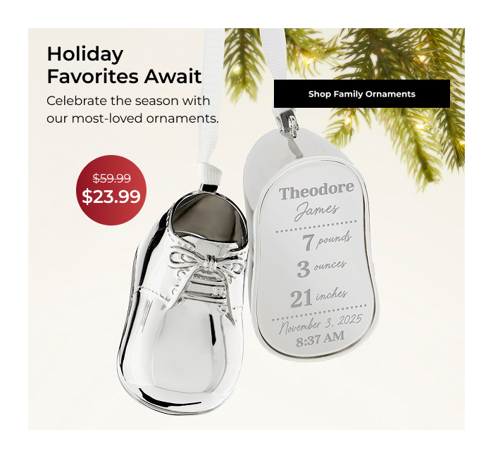 Shop Family Ornaments