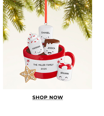 Shop Family Ornaments