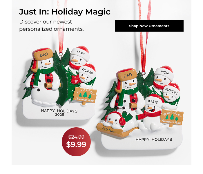 Shop New Ornaments