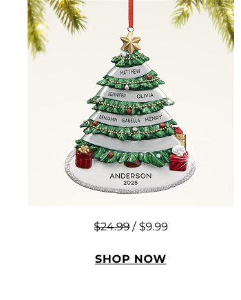 Shop Christmas Ornaments