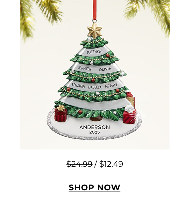Shop Christmas Ornaments
