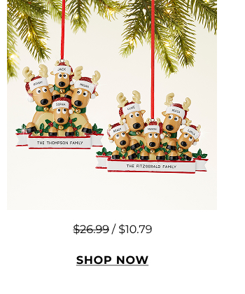 Shop Christmas Ornaments