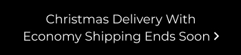 Christmas Delivery With Economy Shipping Ends Soon