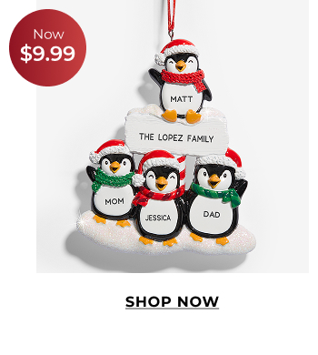 Shop Ornament Deals