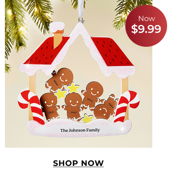 Shop Ornament Deals