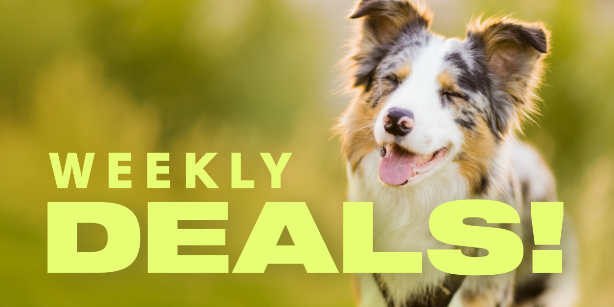 Unleash Joy: Weekly Deals for Happy Pets Await!