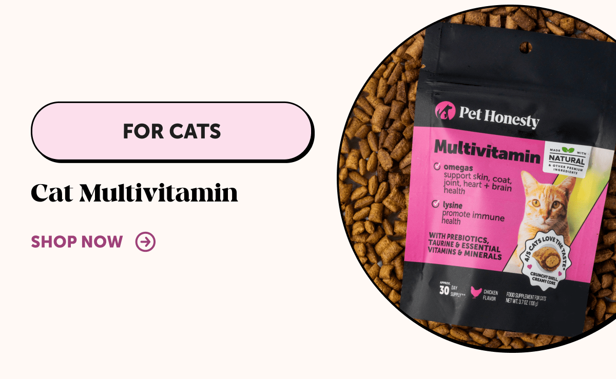 FOR CATS