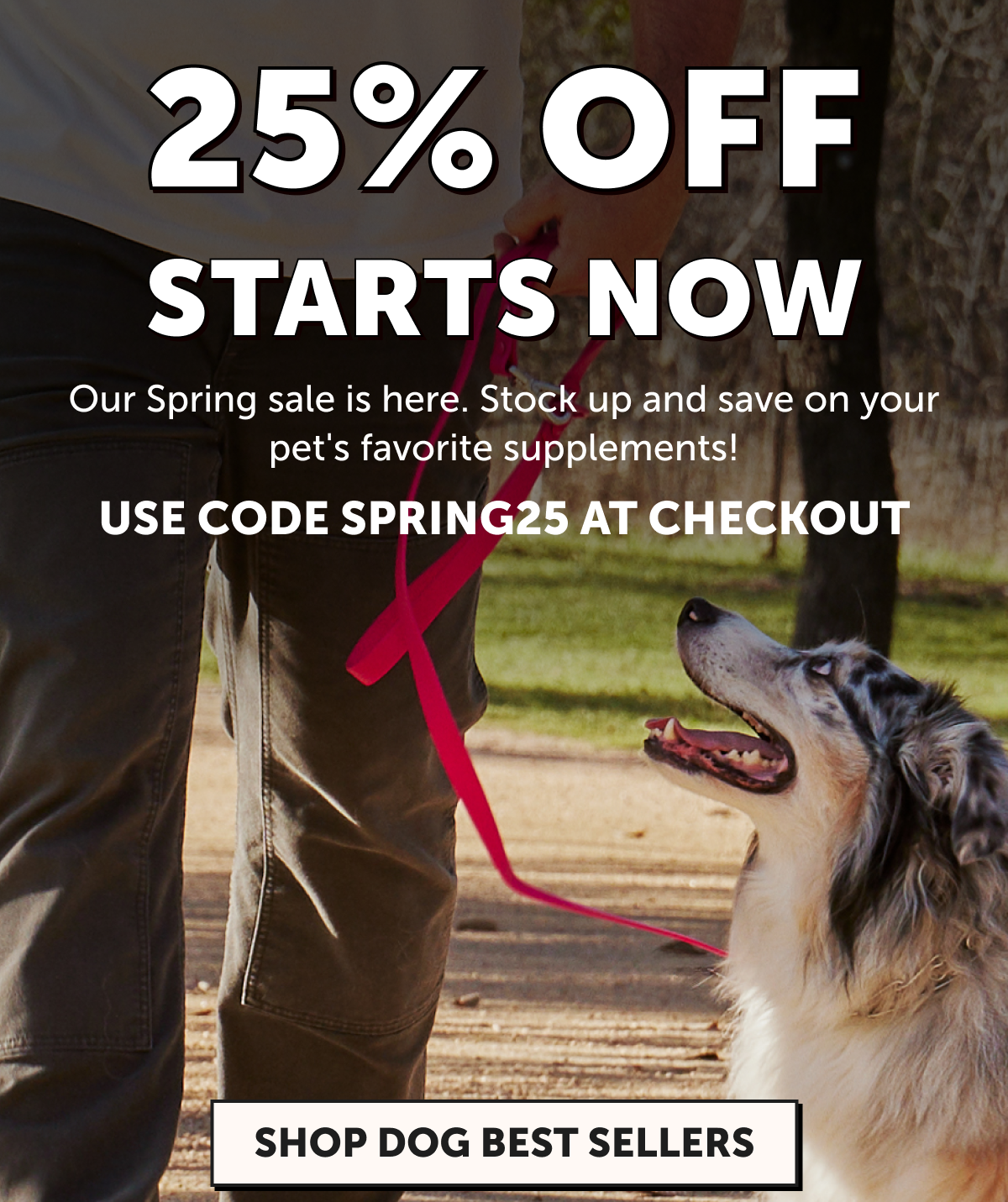 Weekend Sale: Buy 2, Get 1 Free