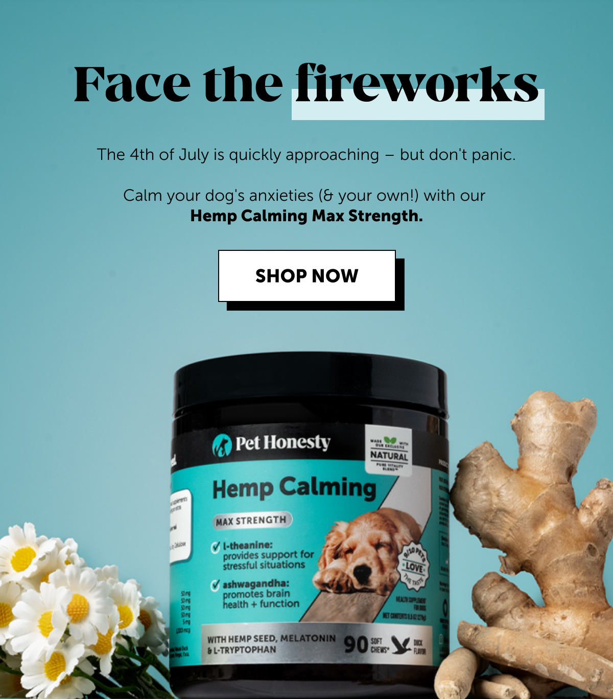 Face the fireworks | The 4th of July is quickly approaching - but don't panic. Calm your dog's anxiety (& your own!) with our Hemp Calming Max Strength. | SHOP NOW