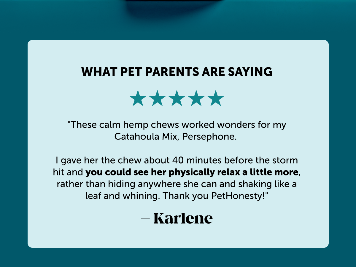 What Pet Parents Are Saying | "These calm hemp chews worked wonders for my Catahoula Mix, Persephone. I gave her the chew about 40 minutes before the storm hit and you could see her physically relax a little more, rather than hiding anywhere she can and shaking like a leaf and whining. Thank you PetHonesty!" - Karlene