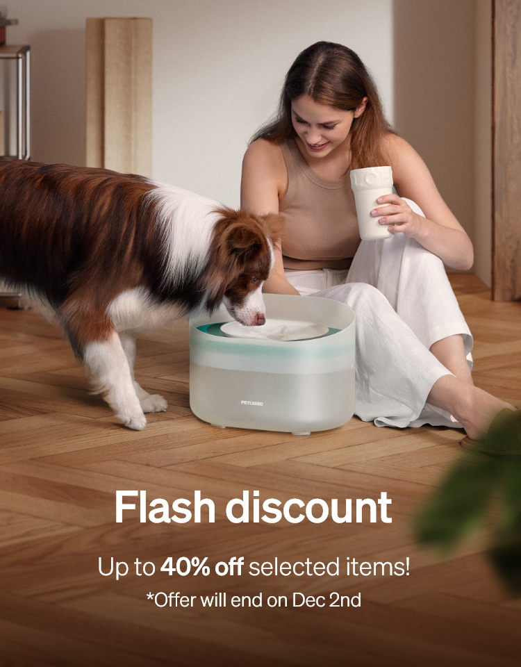 Flash discount Up to 40% off selected items! *Offer will end on Dec 2nd