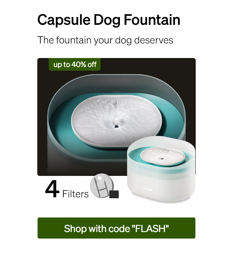 Capsule Dog Fountain