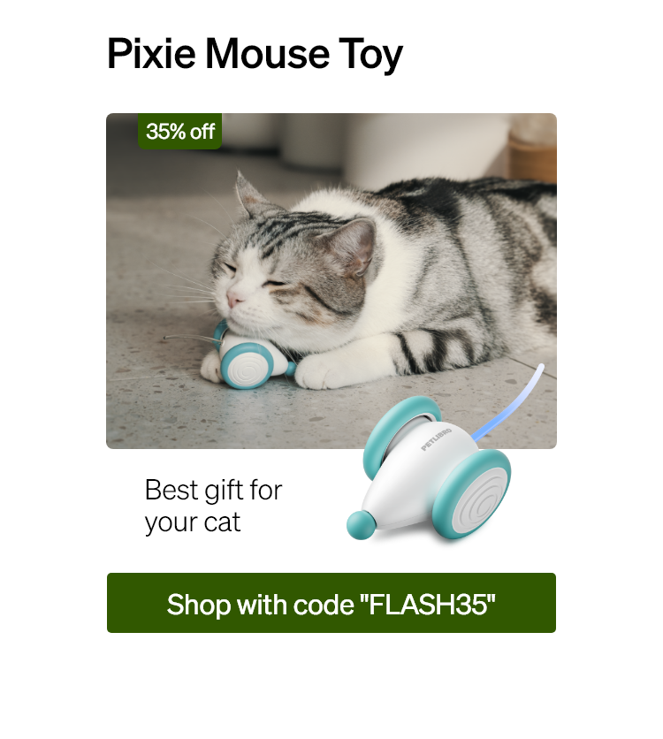 Pixie Mouse Toy