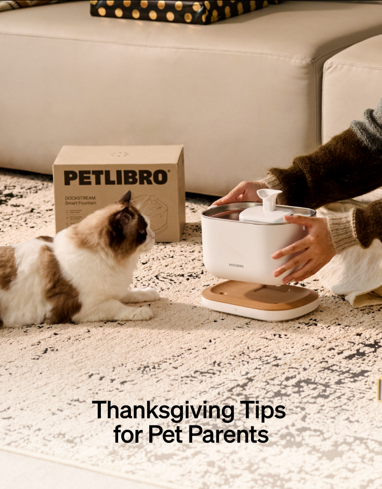 Thanksgiving Tips for Pet Parents