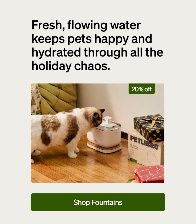 Fresh, flowing water keeps pets happy and hydrated through all the holiday chaos.