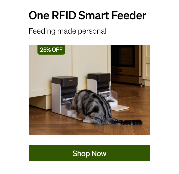 One RFID Smart Feeder Feeding made personal