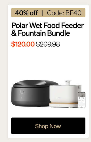 Polar Wet Food Feeder & Fountain Bundle