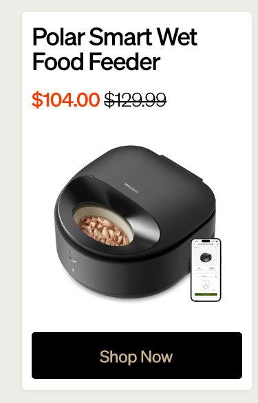 Polar Smart Wet Food Feeder
