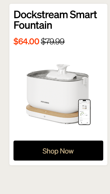 Dockstream Smart Fountain