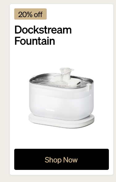 Dockstream Fountain