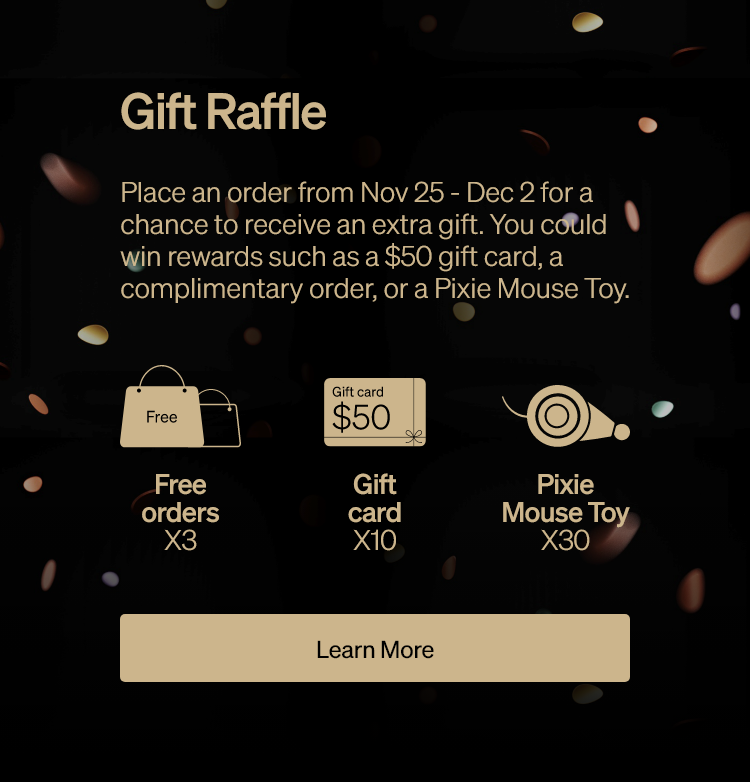 Gift Raffle