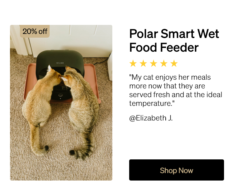 Polar Smart Wet Food Feeder