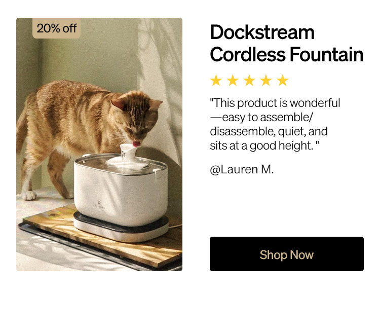 Dockstream Cordless Fountain
