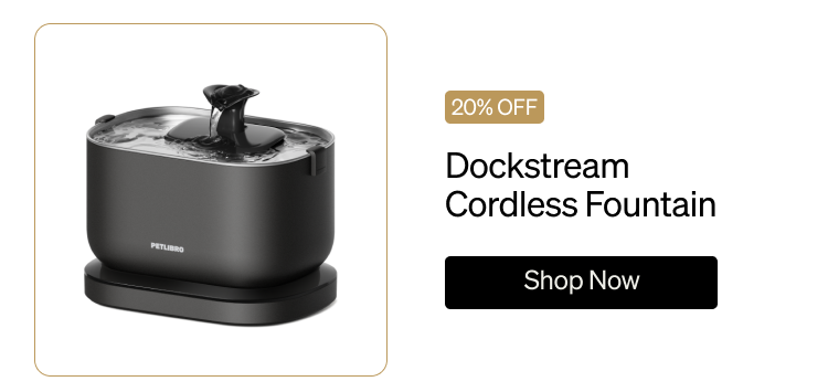 Dockstream Cordless Fountain