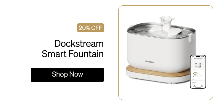Dockstream Smart Fountain