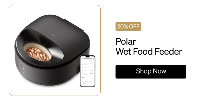 Polar Wet Food Feeder
