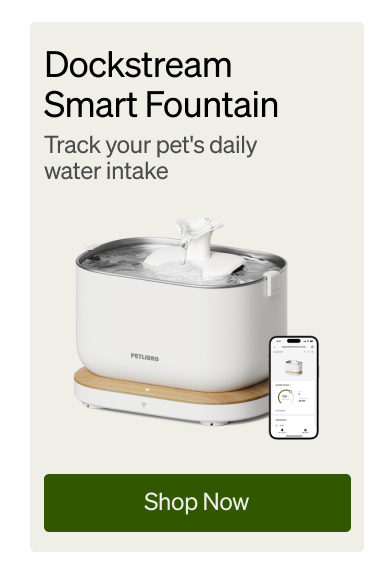 Dockstream Smart Fountain