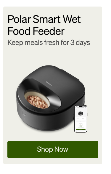 Polar Smart Wet Food Feeder