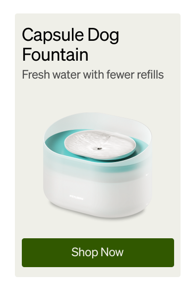 Capsule Dog Fountain