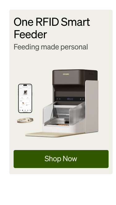 One RFID Smart Feeder
