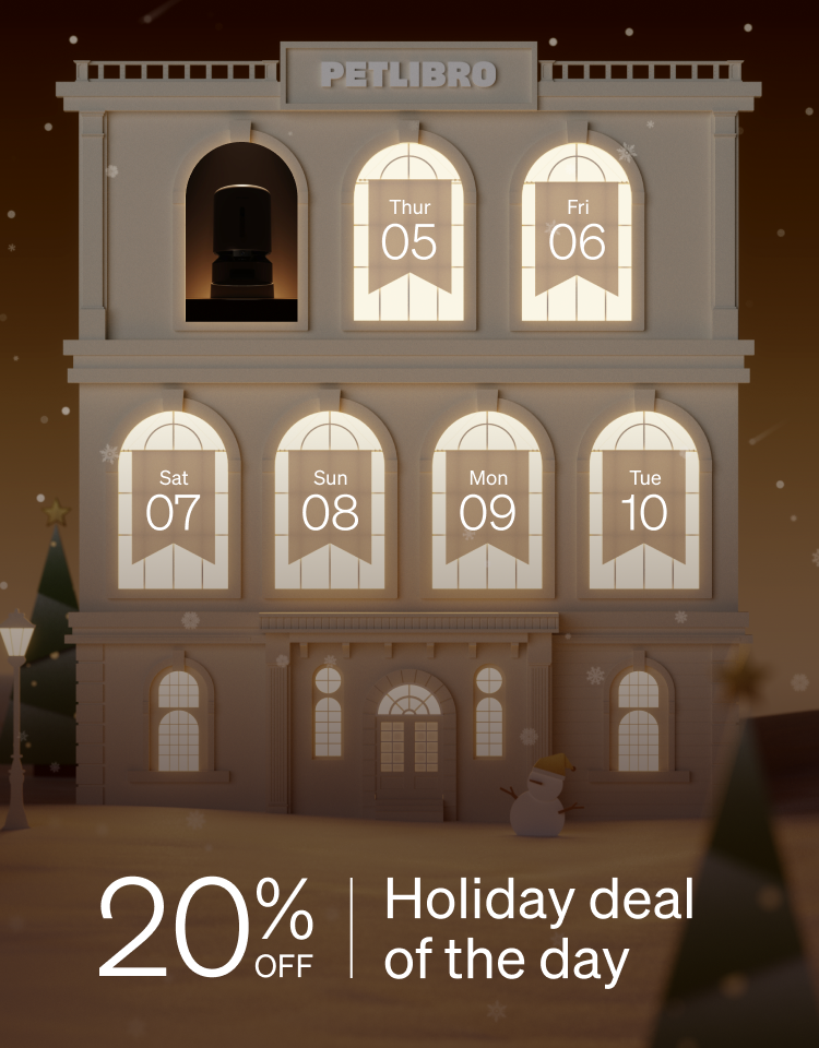 20% Holiday deal of the day OFF