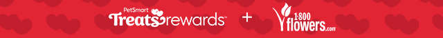 PetSmart Treats Rewards & 1-800-Flowers.com