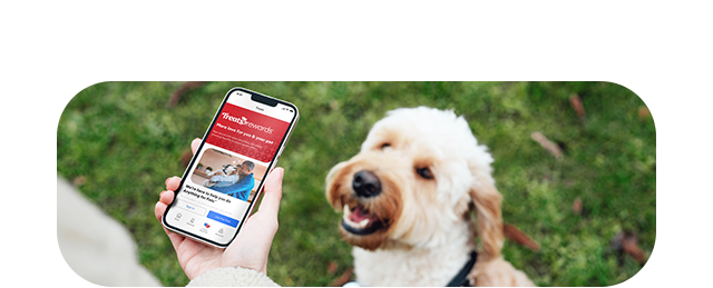 Treats Rewards